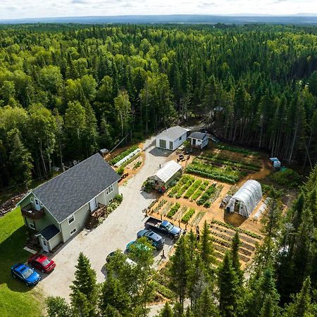 Upper Humber Settlement A Farmstay B&B Cormack Екстер'єр фото