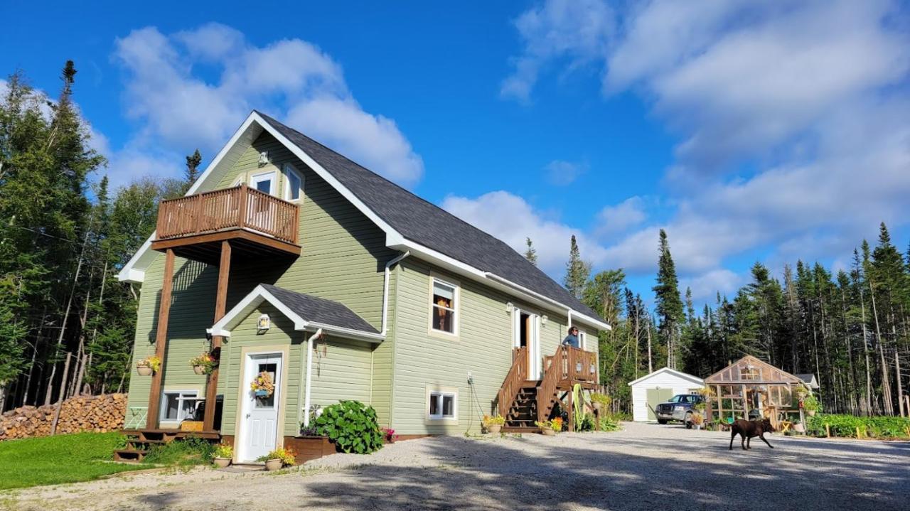 Upper Humber Settlement A Farmstay B&B Cormack Екстер'єр фото