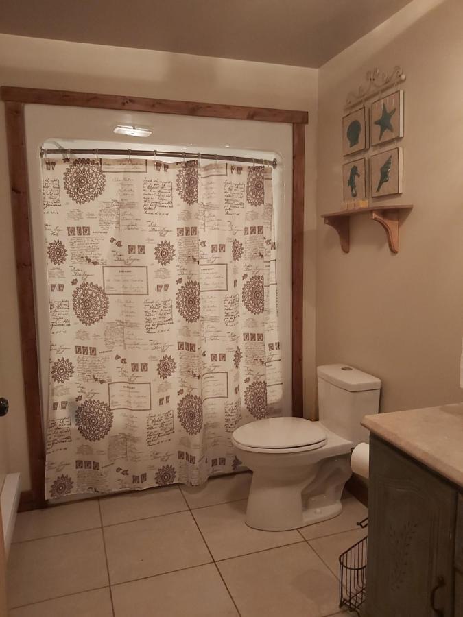 Upper Humber Settlement A Farmstay B&B Cormack Екстер'єр фото