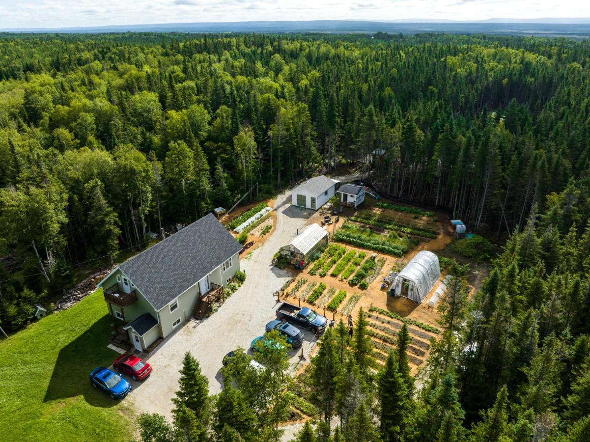 Upper Humber Settlement A Farmstay B&B Cormack Екстер'єр фото