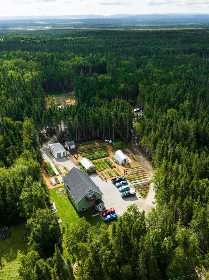 Upper Humber Settlement A Farmstay B&B Cormack Екстер'єр фото