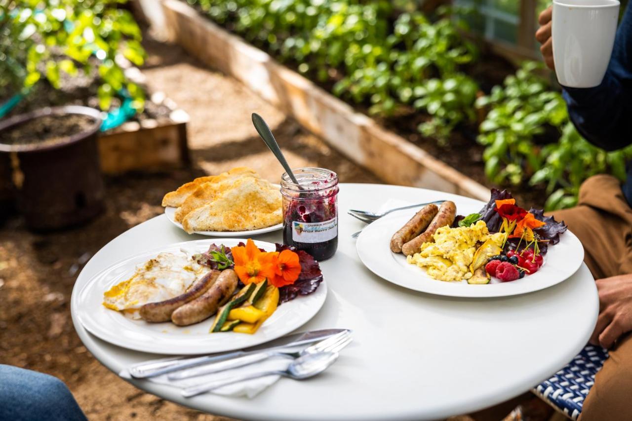 Upper Humber Settlement A Farmstay B&B Cormack Екстер'єр фото