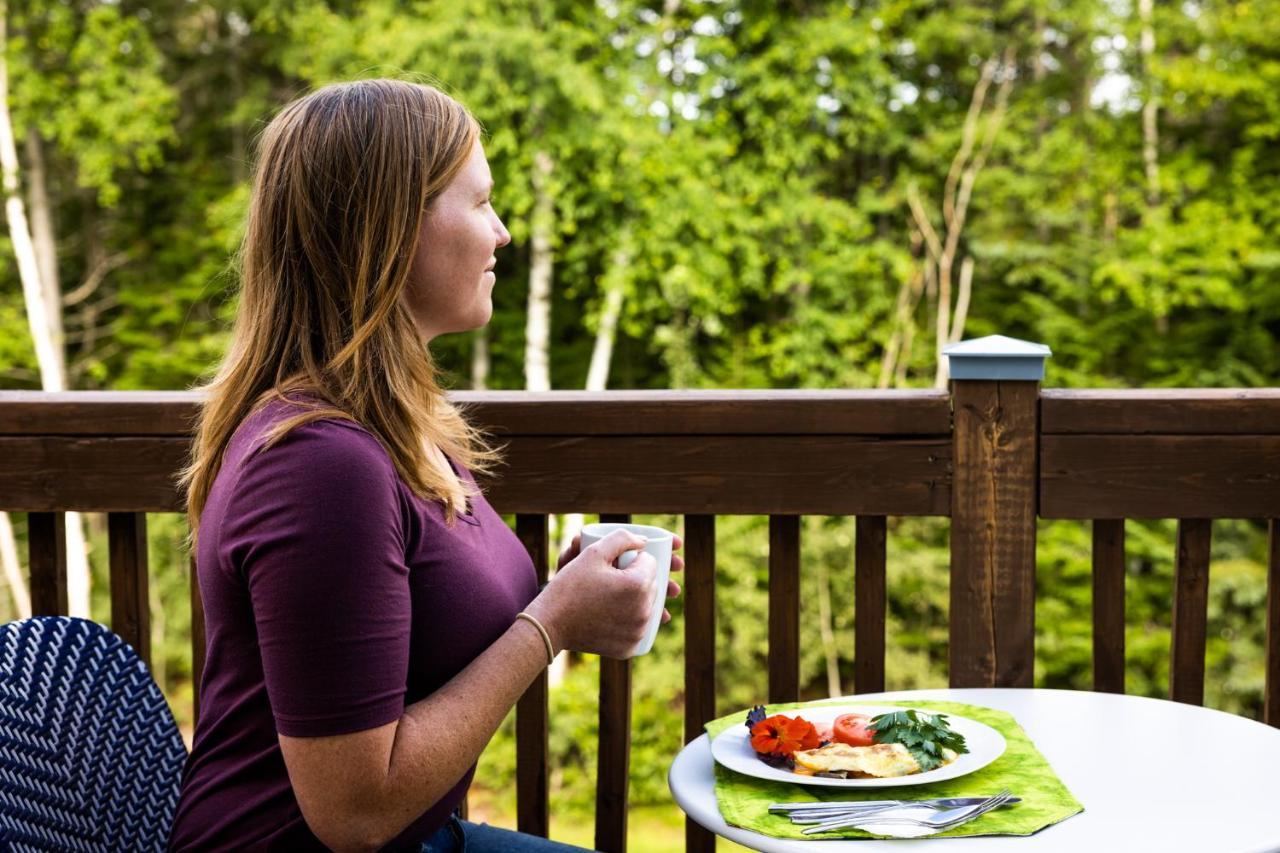 Upper Humber Settlement A Farmstay B&B Cormack Екстер'єр фото